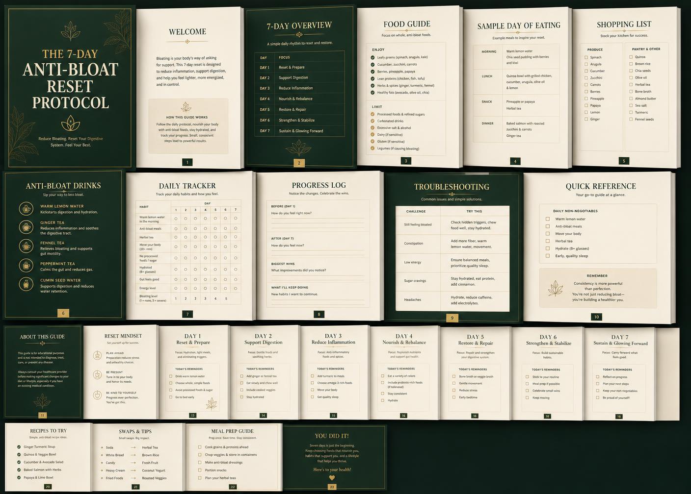 All 23 pages of The 7-Day Anti-Bloat Reset Protocol: 7-day overview, food guide, sample day, shopping list, anti-bloat drinks, daily tracker, progress log, troubleshooting and quick reference